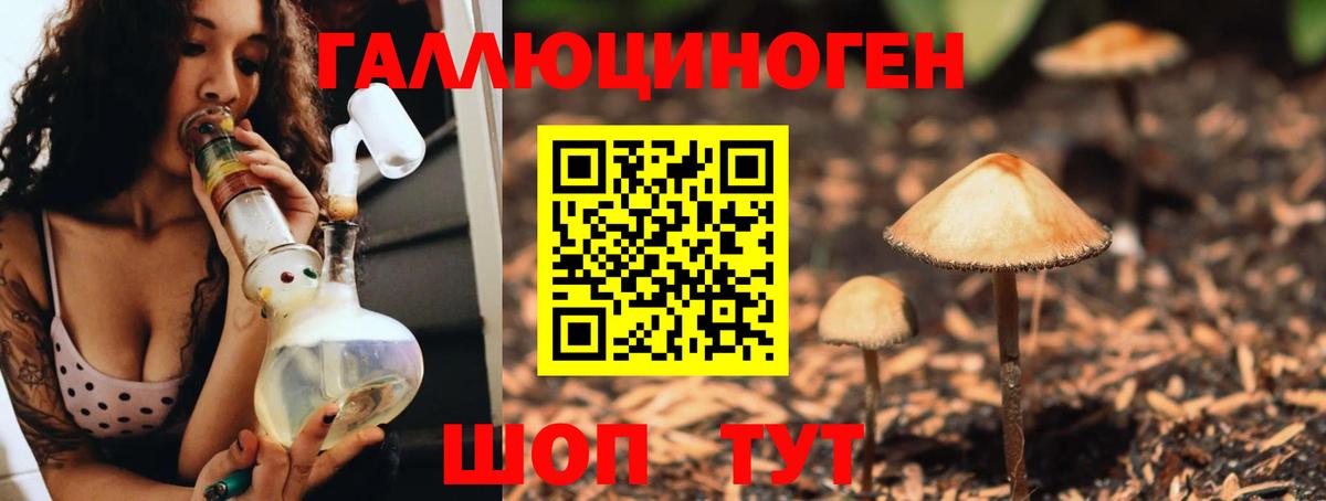 Галлюциногенные грибы прущие грибы Каменка