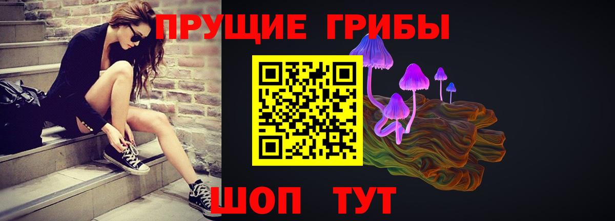 Каменка  Галлюциногенные грибы Psilocybine cubensis  Вход с VPN  Псилоцибиновые грибы MAGIC MUSHROOMS 